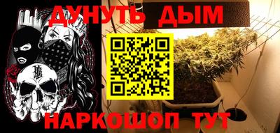 эйфоретик Тара