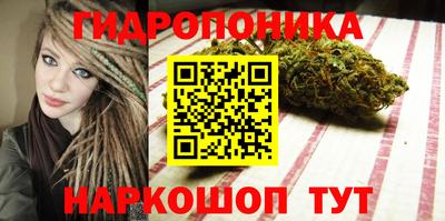 эйфоретик Тара