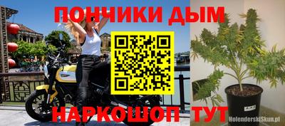 эйфоретик Тара