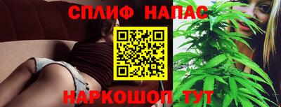эйфоретик Тара