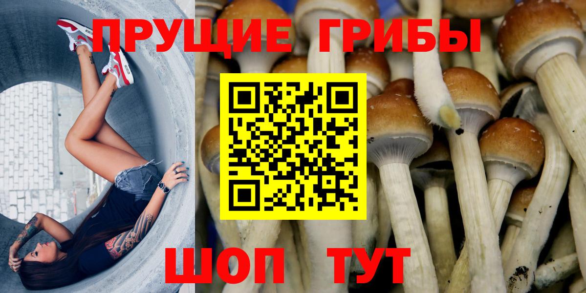 Галлюциногенные грибы GOLDEN TEACHER  Вход с VPN  Отрадный 